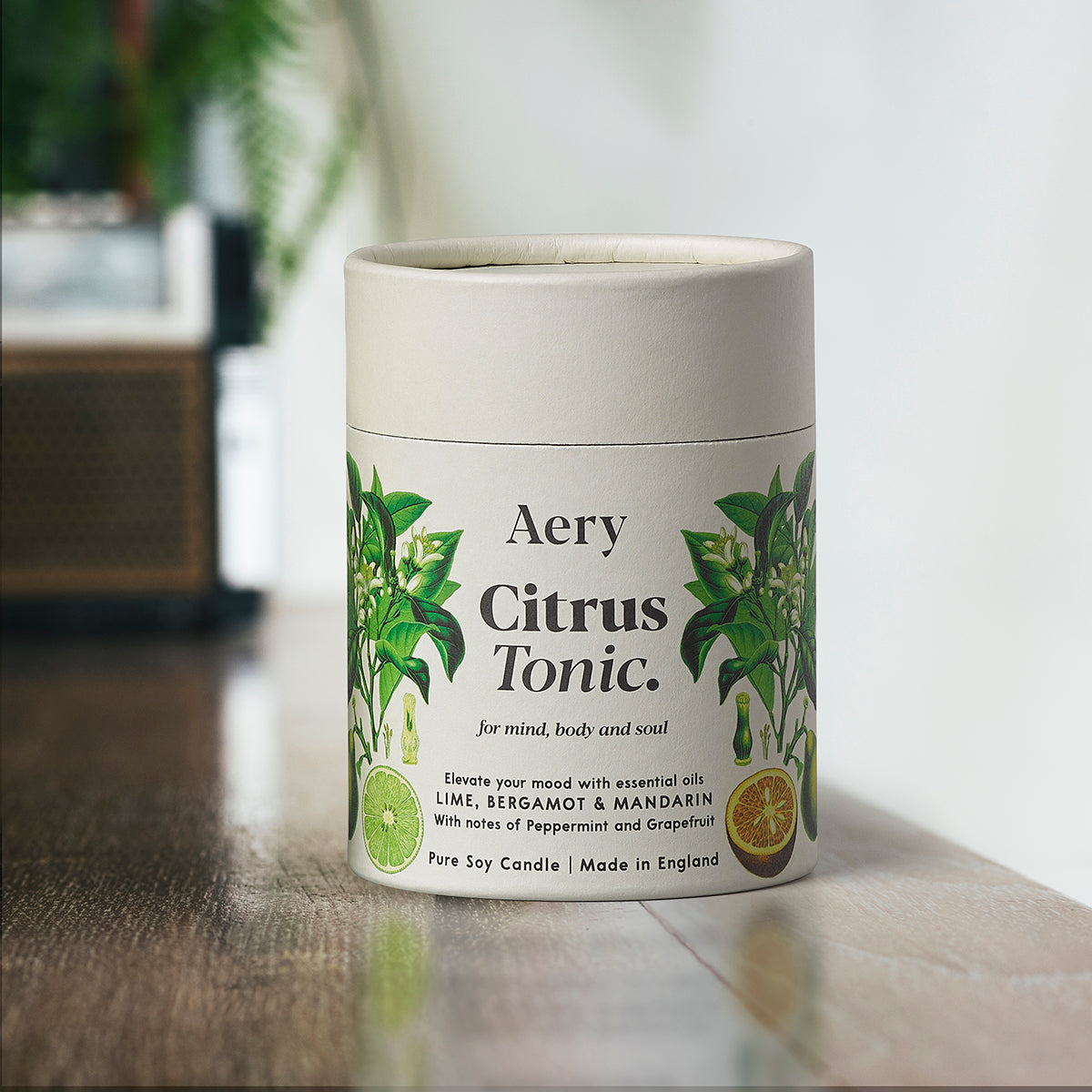Aery Living Botanical 200g Soy Candle Citrus Tonic