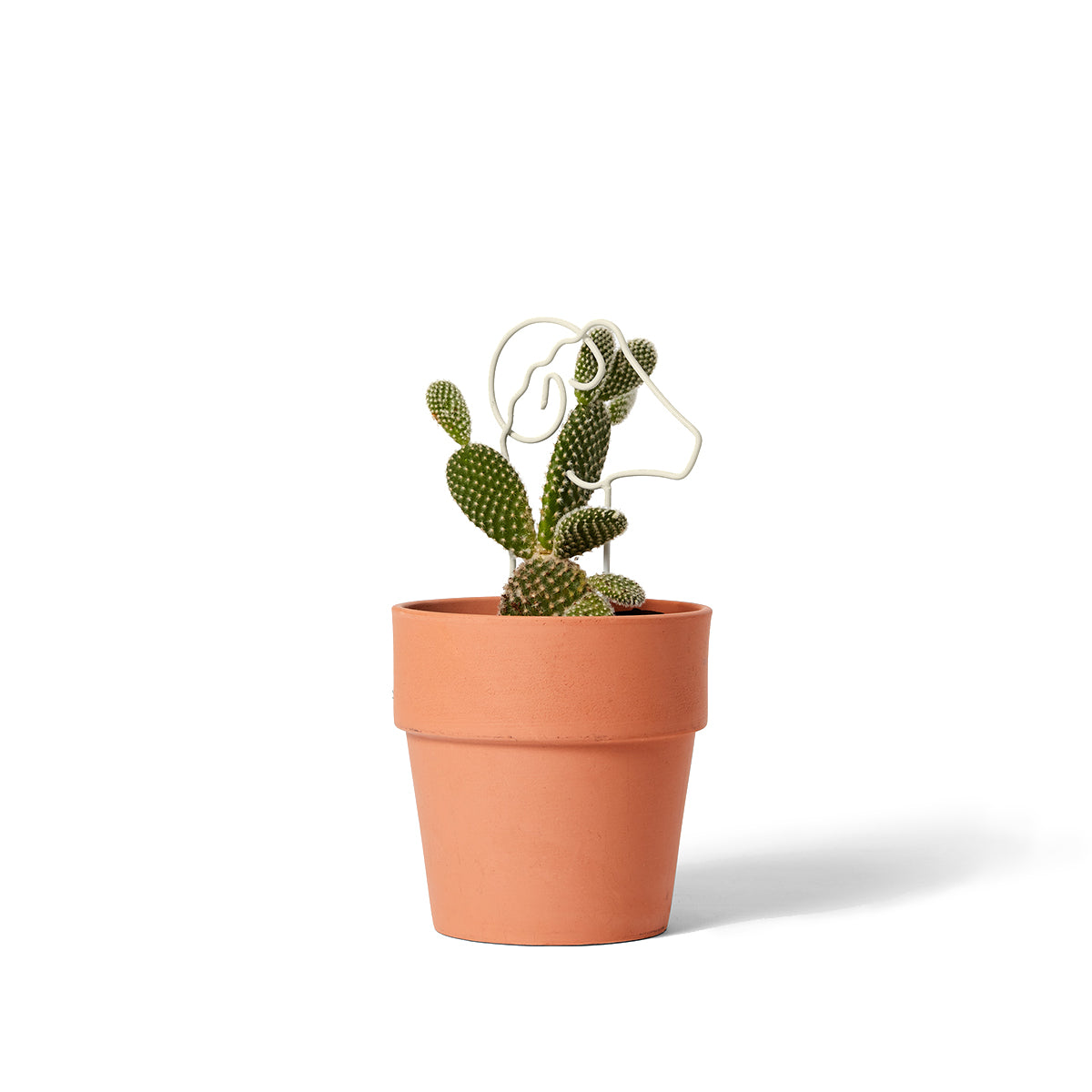 Areaware Plant Trellis Mini Ram