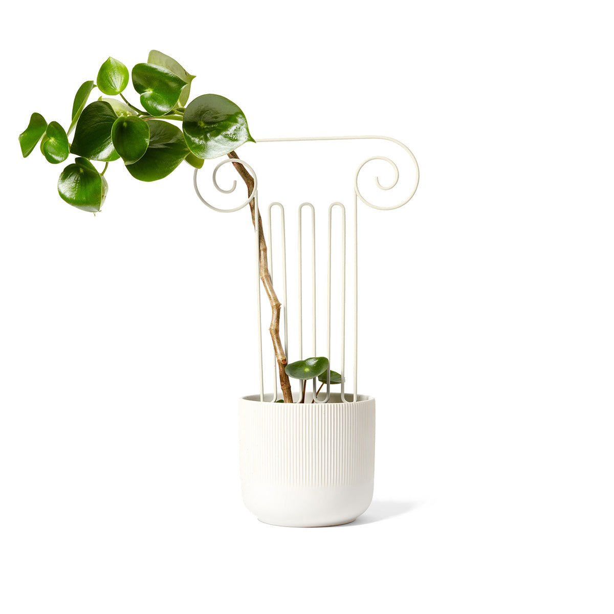 Areaware Plant Trellis Column