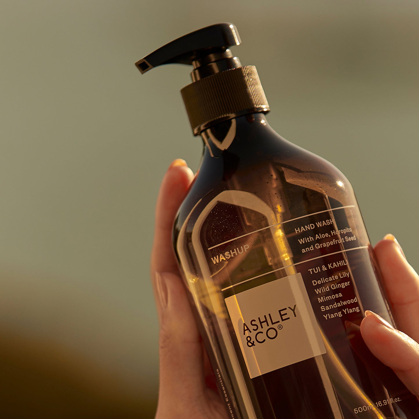 Ashley & Co Washup 500ml Tui & Kahili Hand Wash Hand Wash