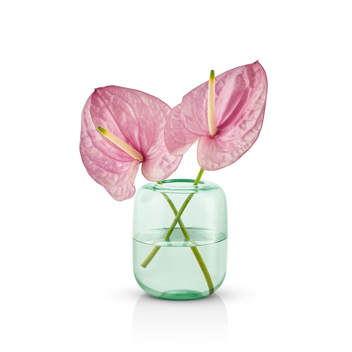 Eva Solo Acorn Vase 16.5cm Mint Green