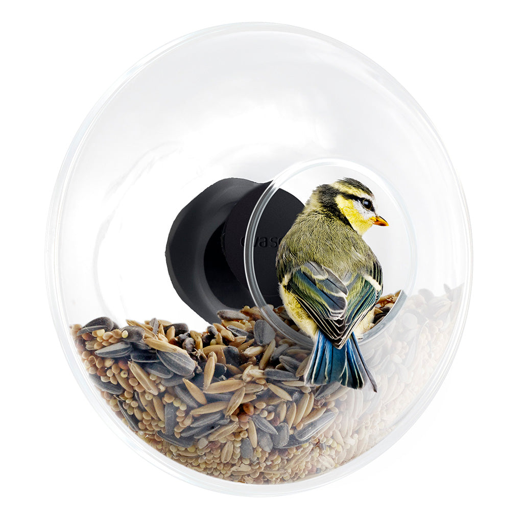 Eva Solo Bird Feeder Window