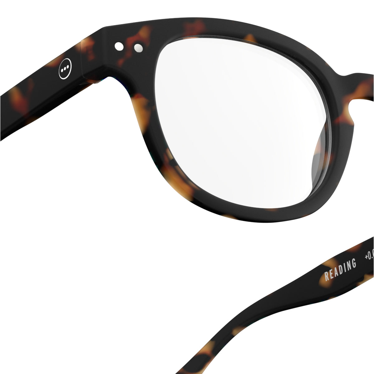 IZIPIZI Reading Collection C Tortoise