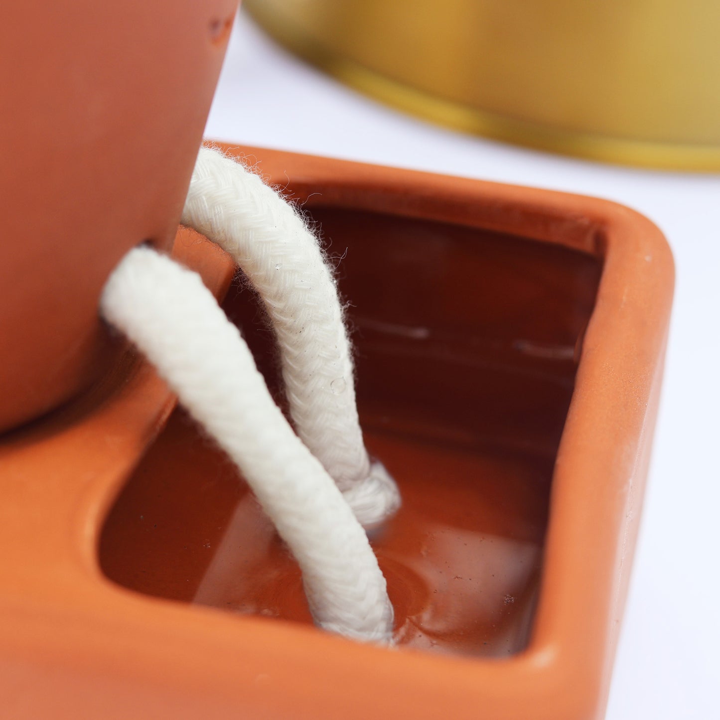 Pikkii Planter Self Care