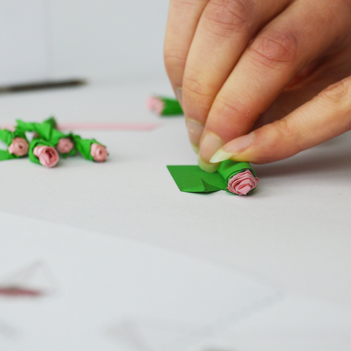 Pikkii Write Me Roses