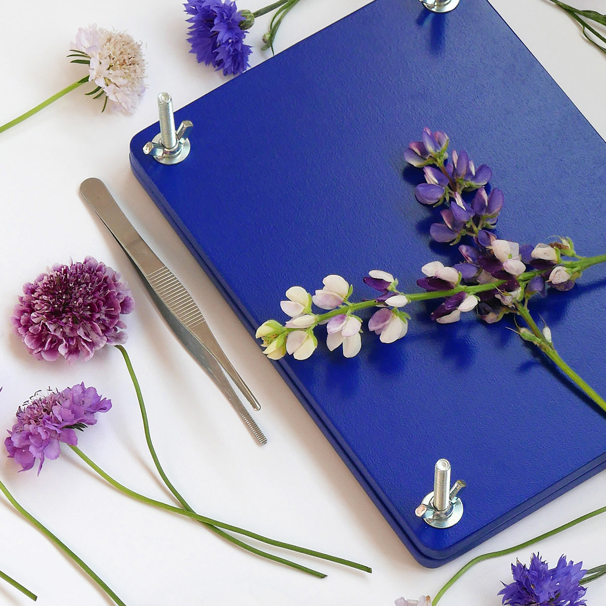 Printworks Flower Press Kit