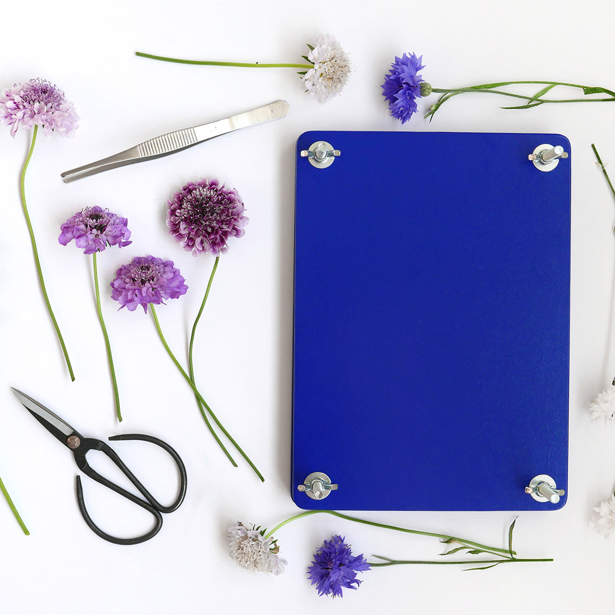 Printworks Flower Press Kit