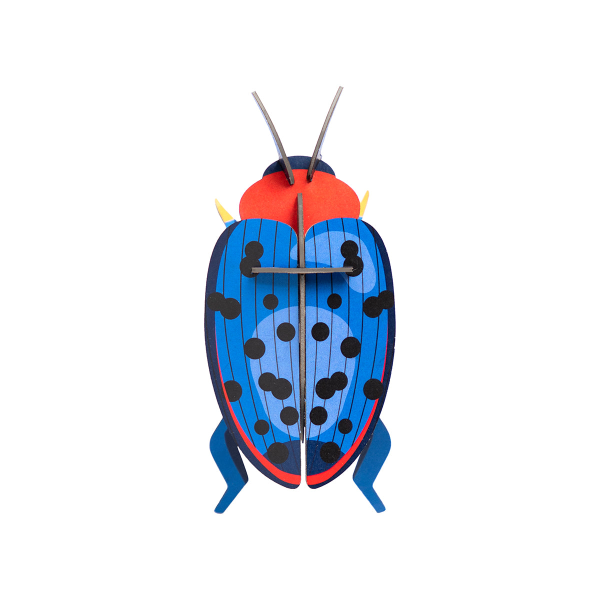 Studio Roof Wall Art Beetles (B7) Fungus Beetle