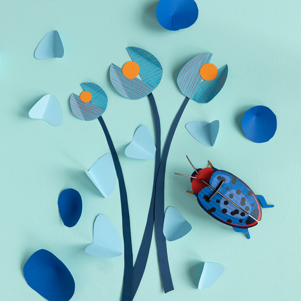 Studio Roof Wall Art Beetles (B7) Fungus Beetle