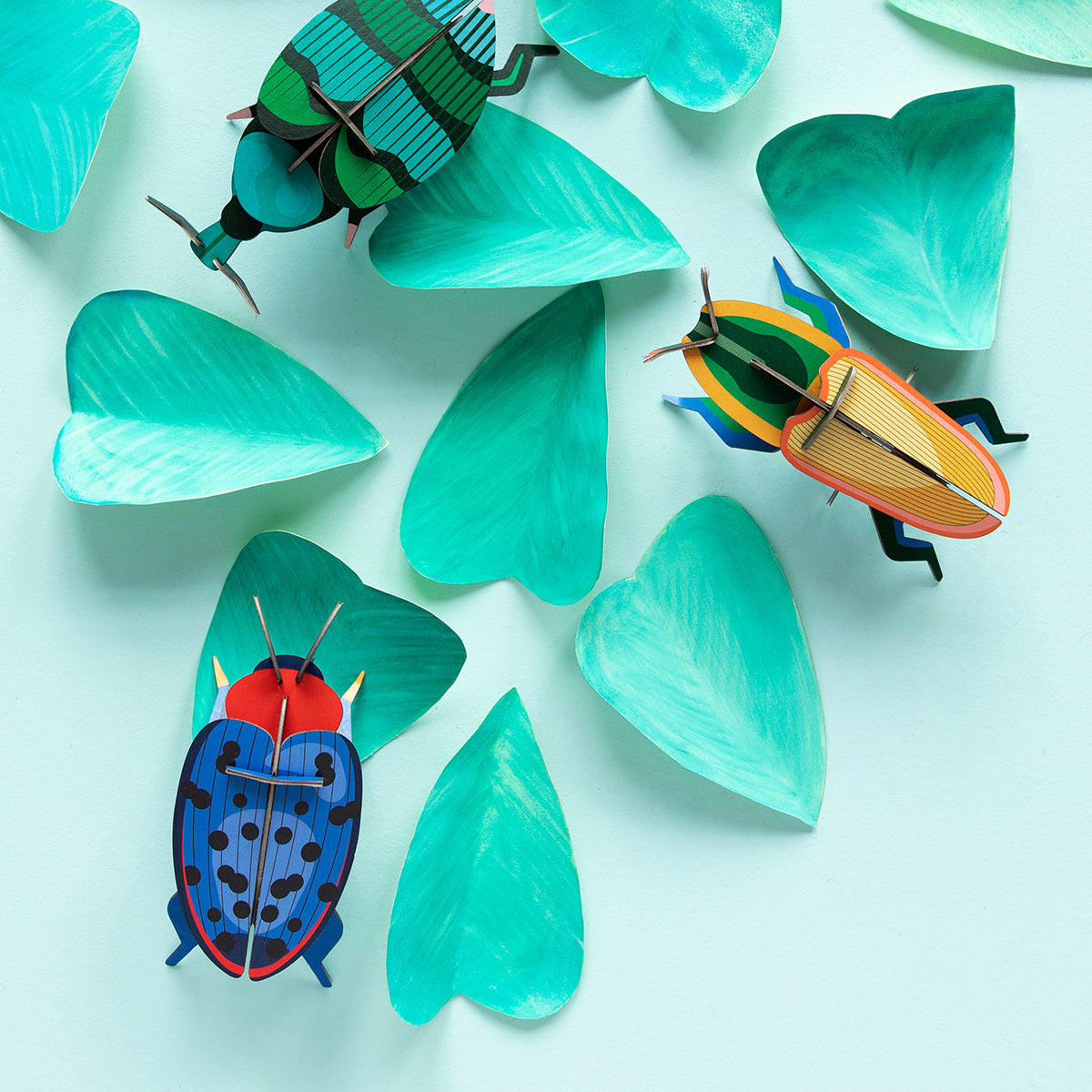 Studio Roof Wall Art Beetles (B7) Fungus Beetle
