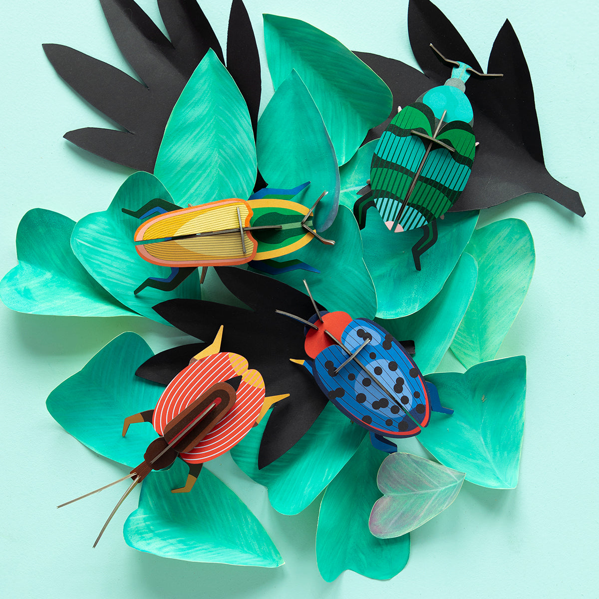 Studio Roof Wall Art Beetles (B7) Madagascar Beetle