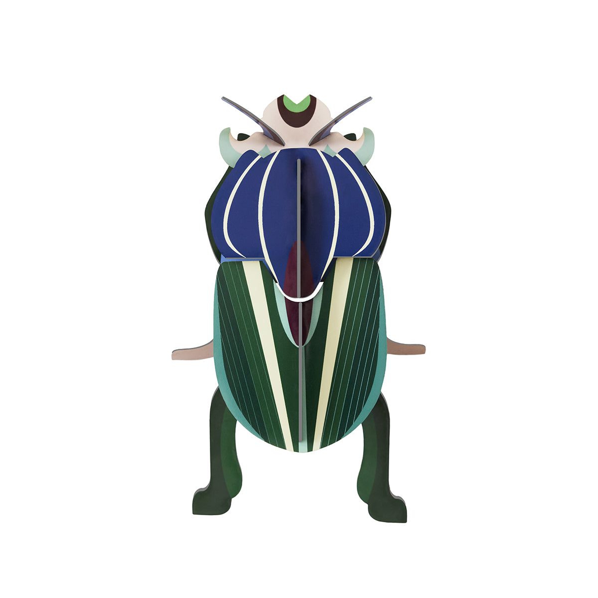 Studio Roof Wall Art Beetles (B7) Mimela Scarab Beetle