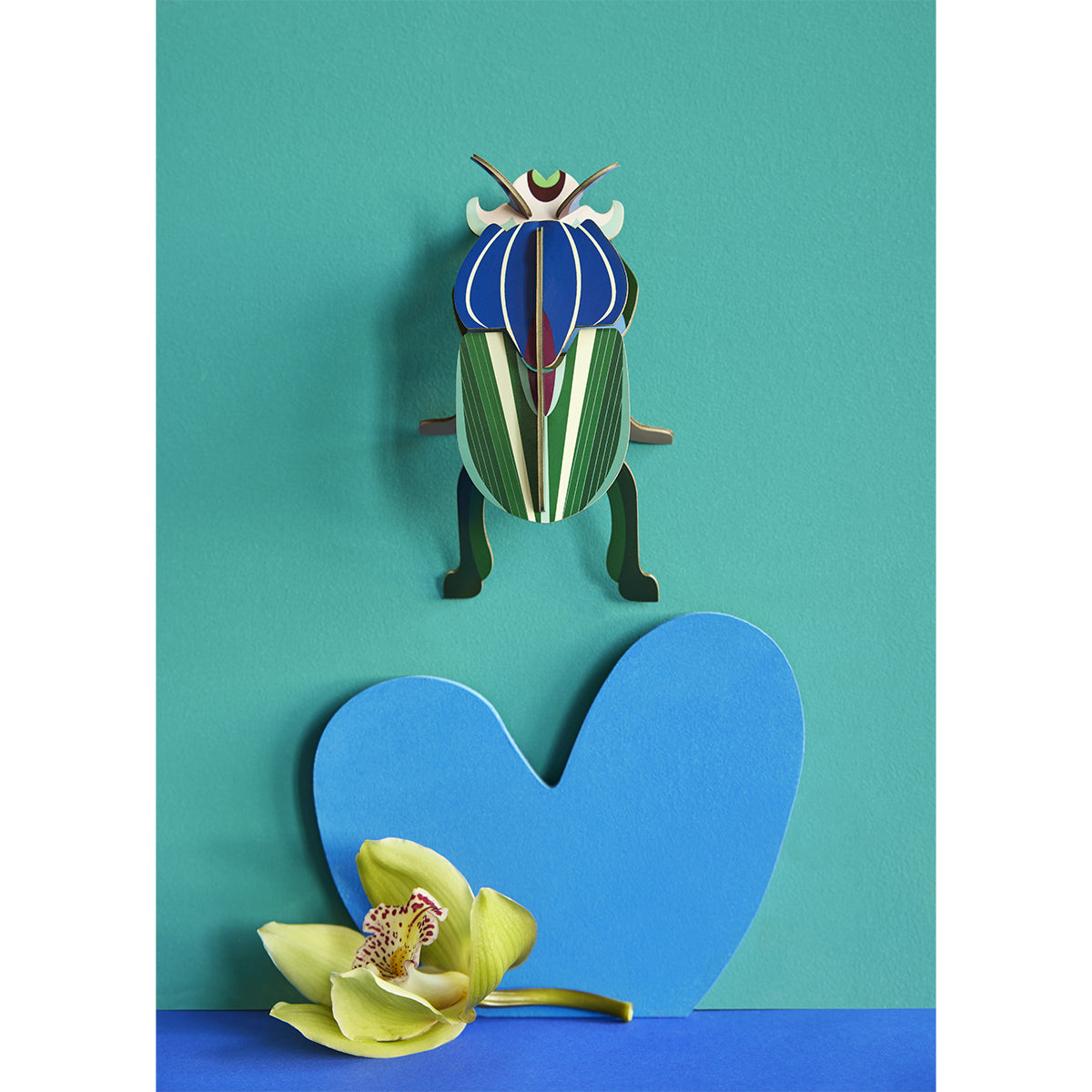 Studio Roof Wall Art Beetles (B7) Mimela Scarab Beetle