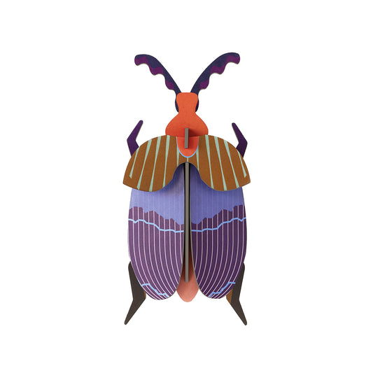 Studio Roof Wall Art Beetles (B7) Queen Beetle