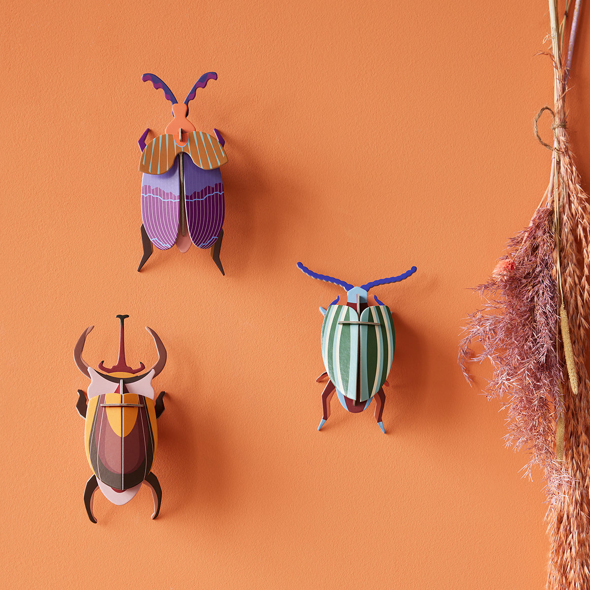 Studio Roof Wall Art Beetles (B7) Rainbow Leaf Beetle