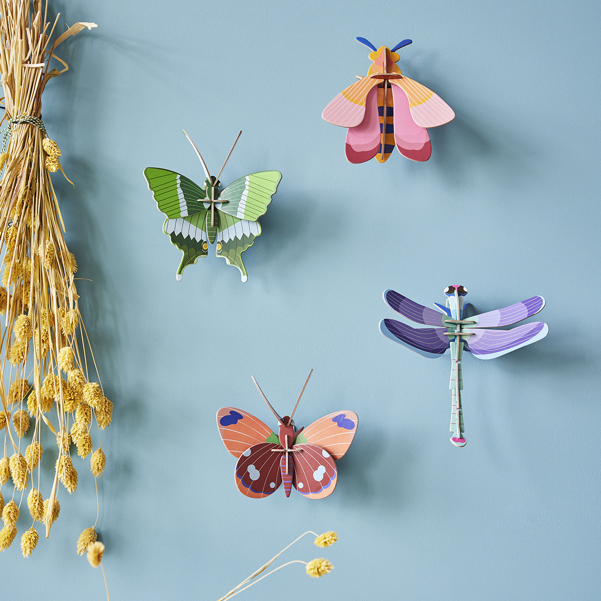 Studio Roof Wall Art Butterflies (B7) Delias Butterfly