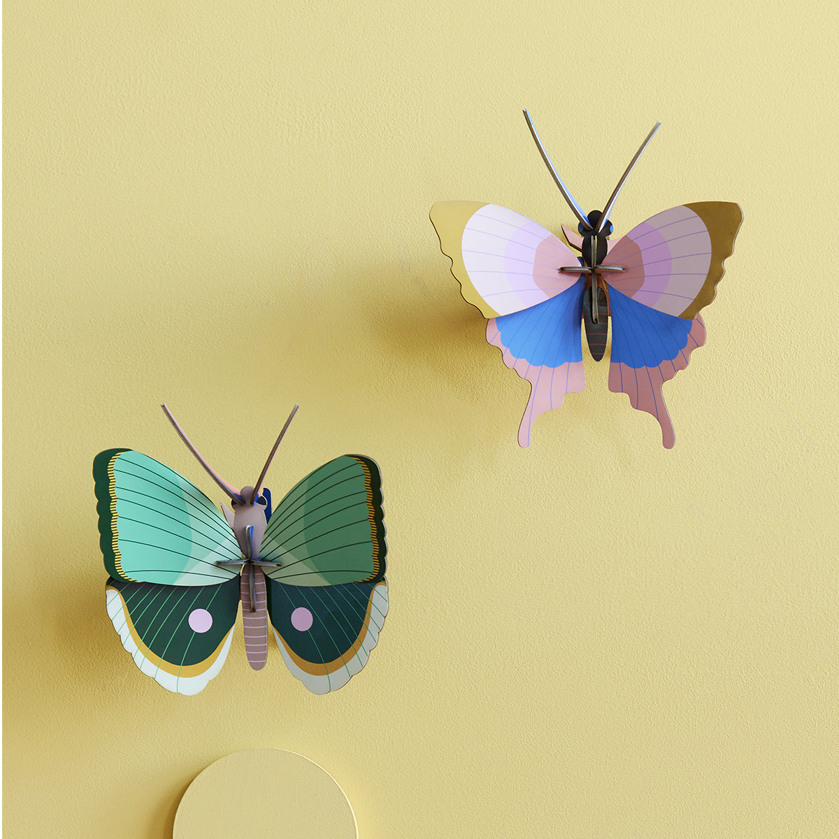 Studio Roof Wall Art Butterflies (B7) Fern Striped Butterfly