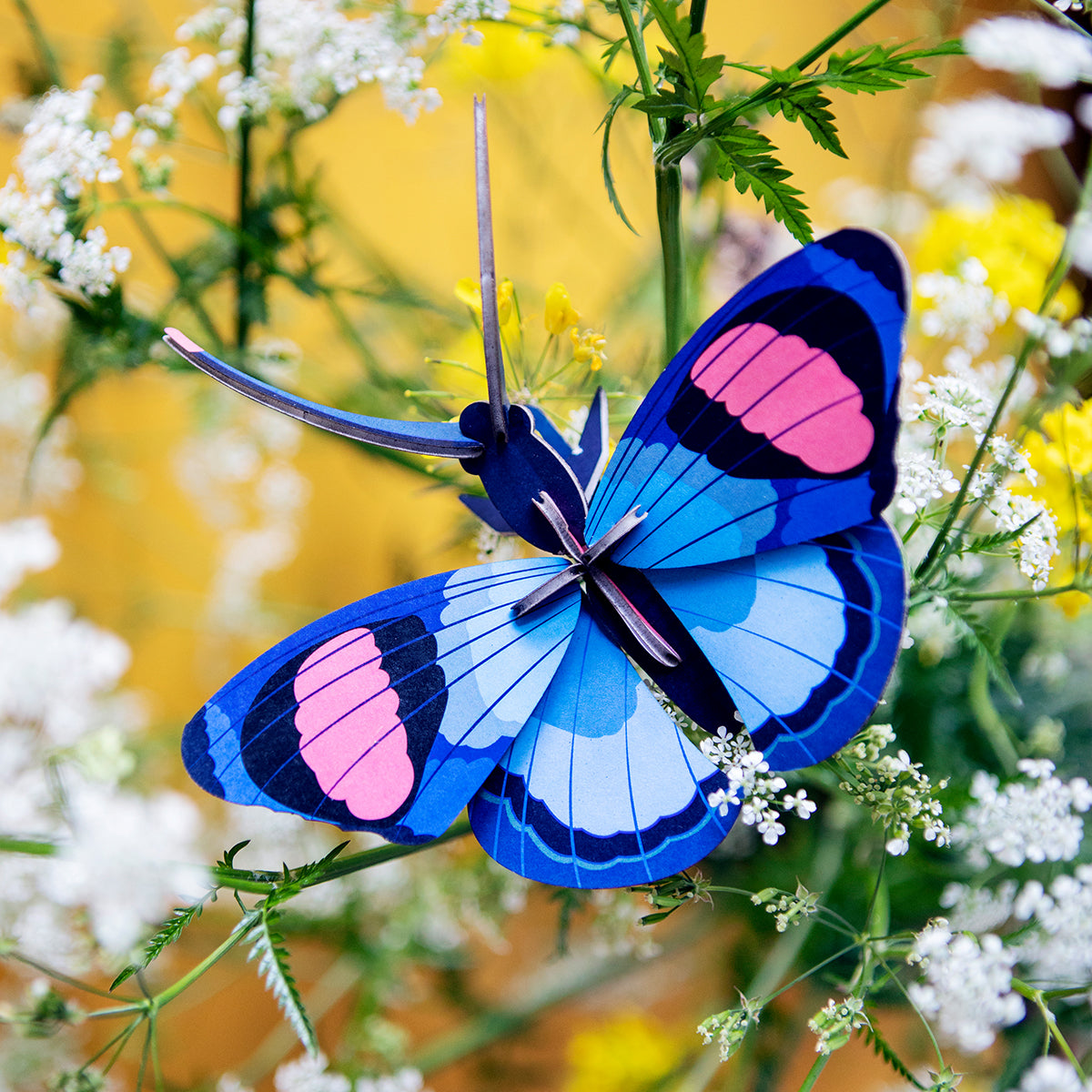 Studio Roof Wall Art Butterflies (B7) Peacock Butterfly