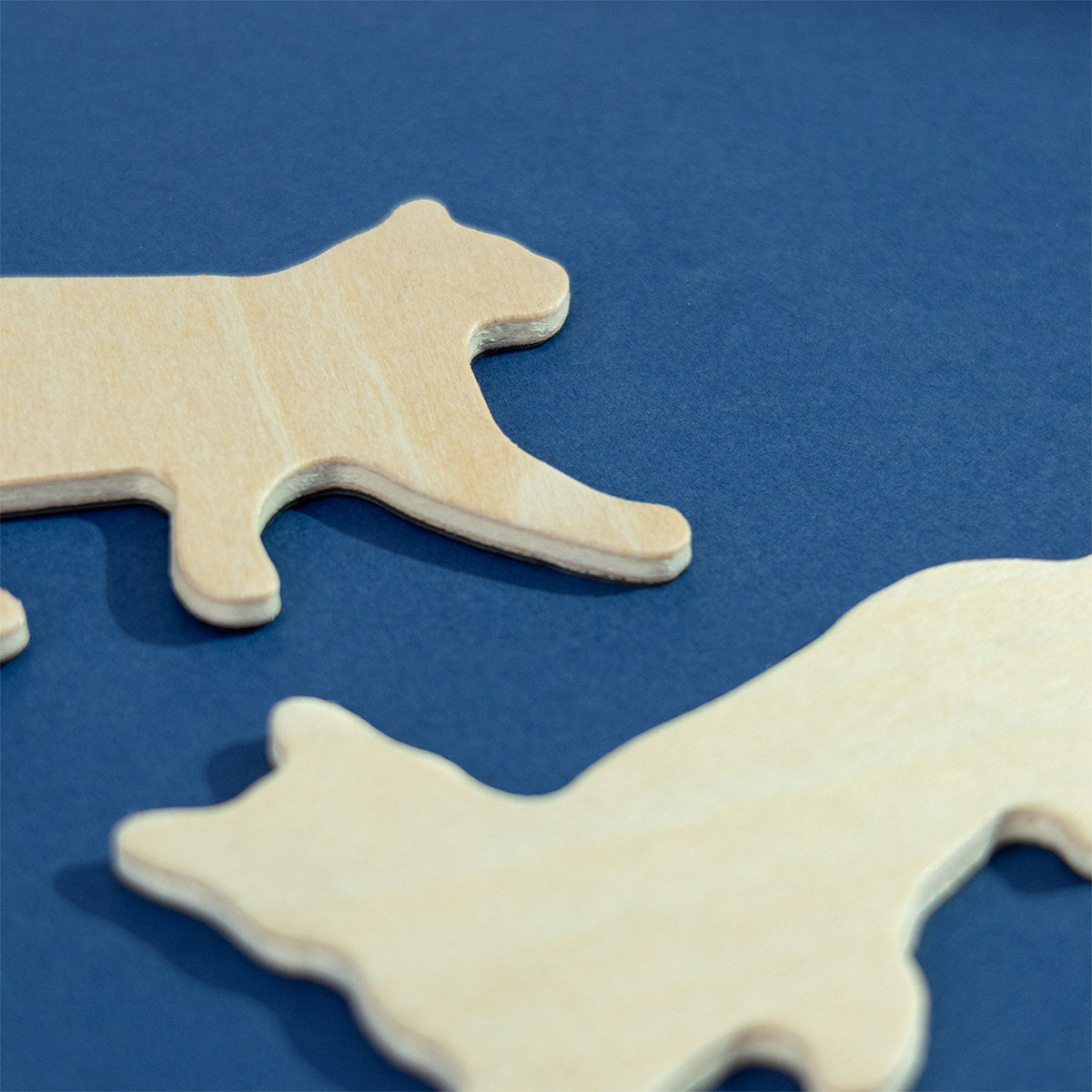 Suck UK Fridge Magnets Cats