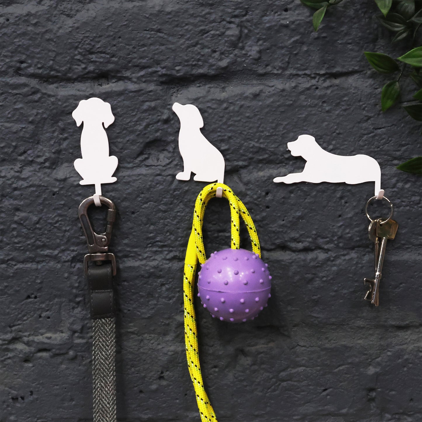 Suck UK Hooks Dog