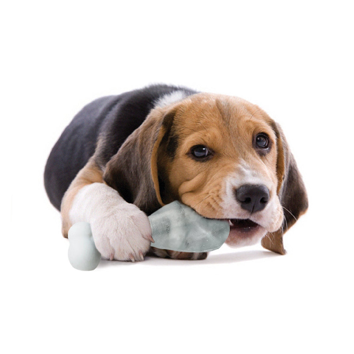 Suck UK Pupsicle Canine Ice Lolly Maker Canine Ice Lolly Maker