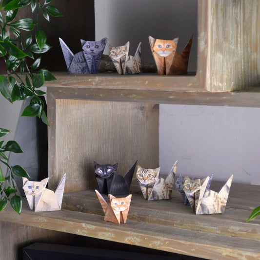 New Brand Alert: Pikkii