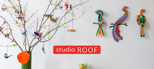 New Brand Alert! Introducing Studio ROOF