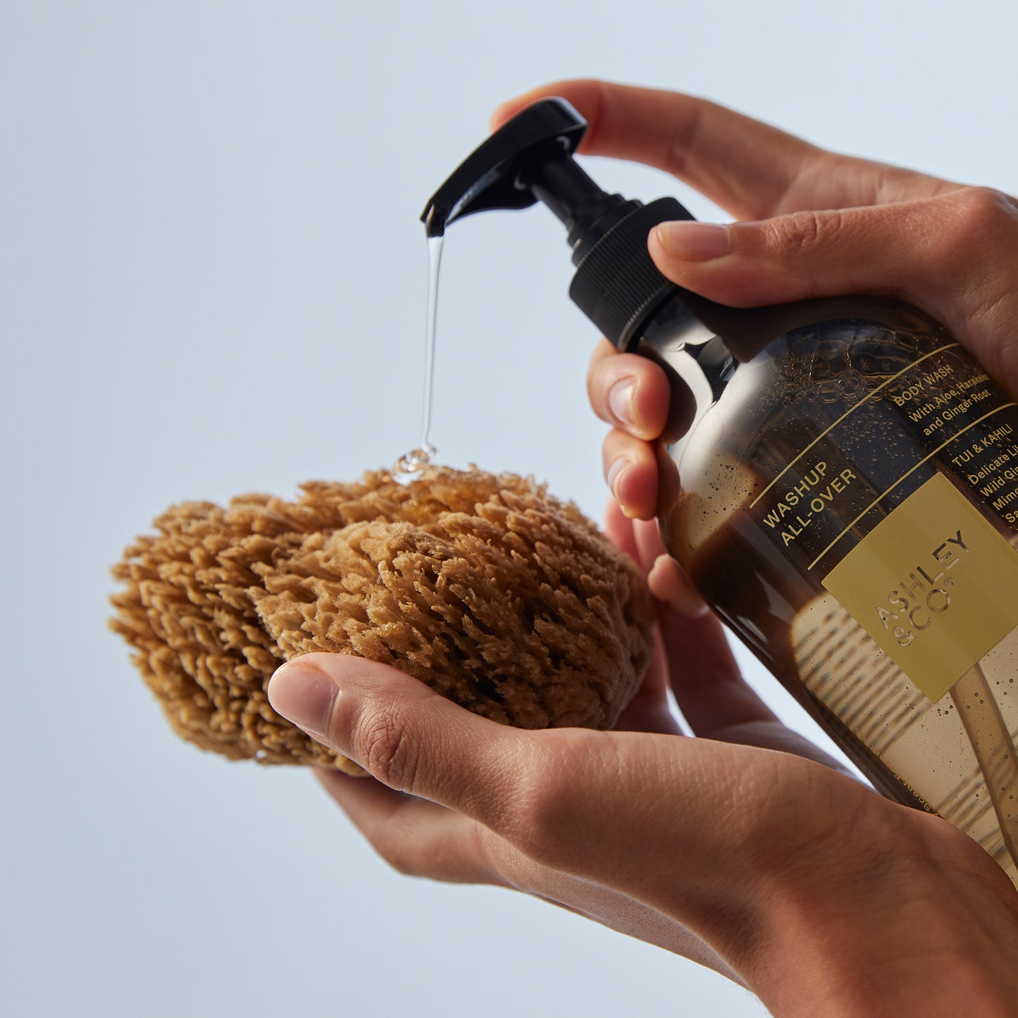 Ashley & Co Washup All Over 500ml Tui & Kahili Body Wash Body Wash