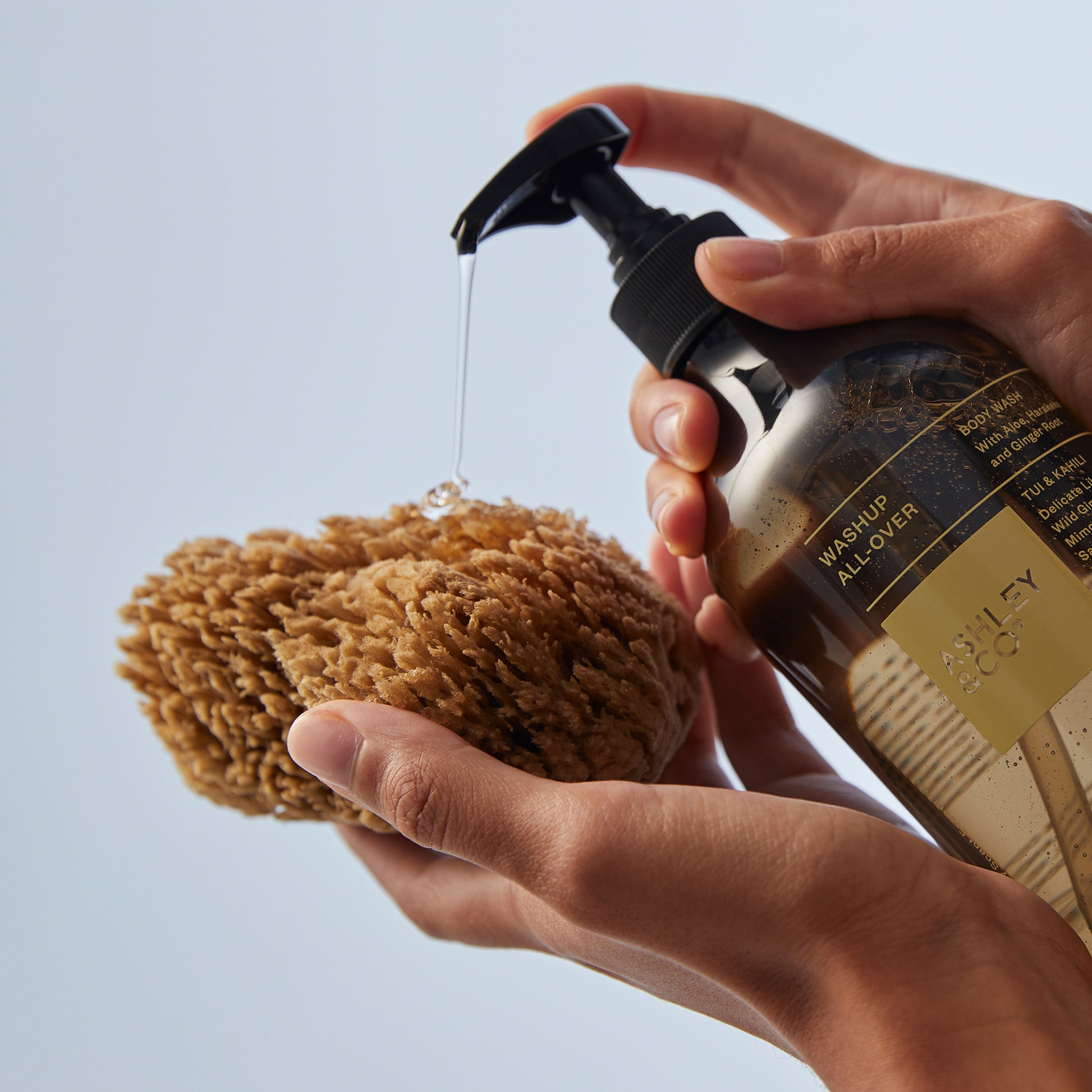 Ashley & Co Washup All Over 500ml Tui & Kahili Body Wash Body Wash