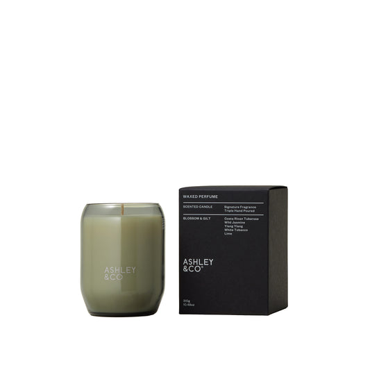 Ashley & Co Waxed Perfume 310g Blossom & Gilt Candle Candle
