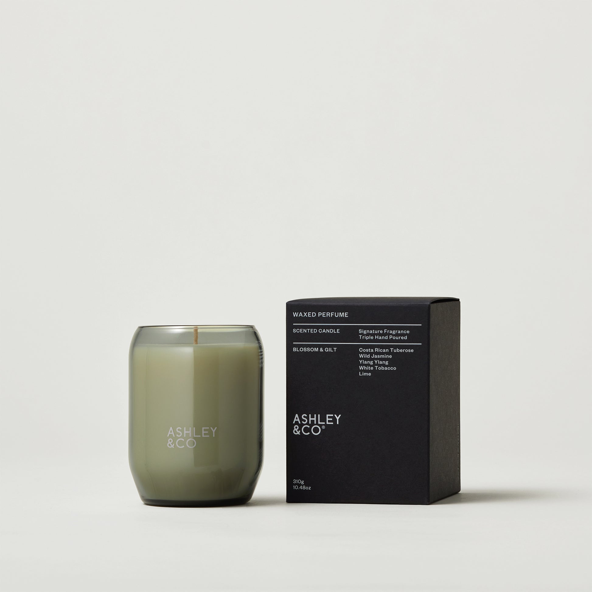 Ashley & Co Waxed Perfume 310g Blossom & Gilt Candle Candle
