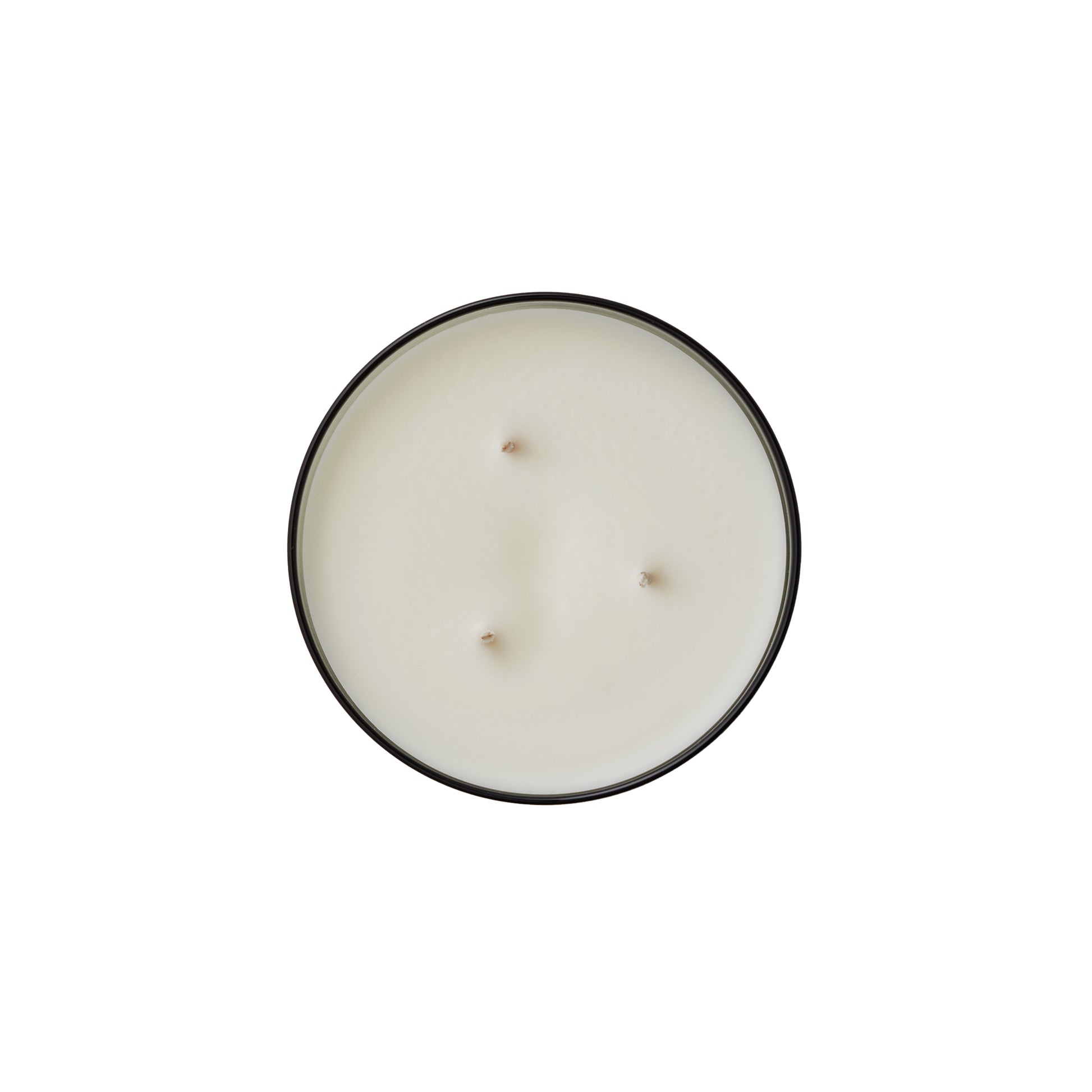 Ashley & Co Waxed Perfume XL 730g Tui & Kahili Candle Candle