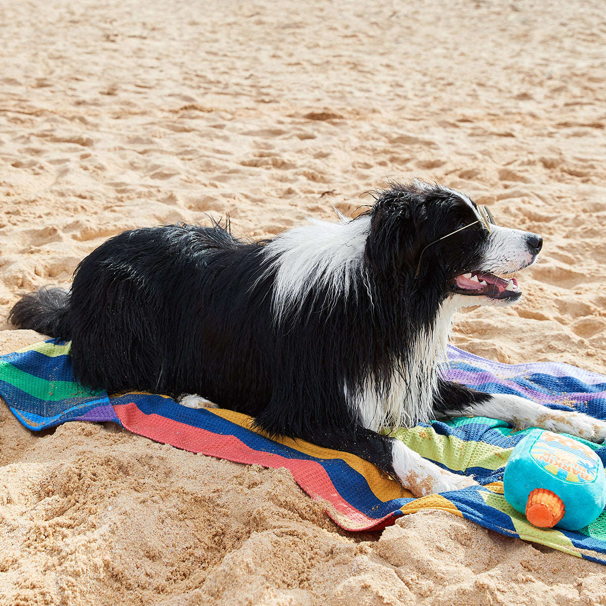 Dock & Bay Dog Towel L Pups with Pride 100% Recycled 100% Recycled