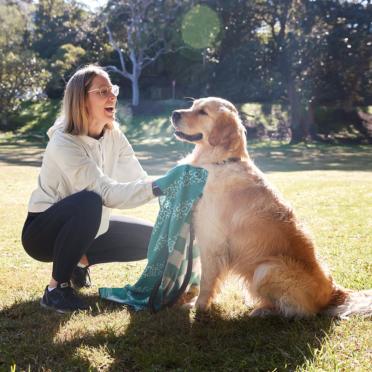 Dock & Bay Dog Towel L Woofs Go Wild 100% Recycled 100% Recycled