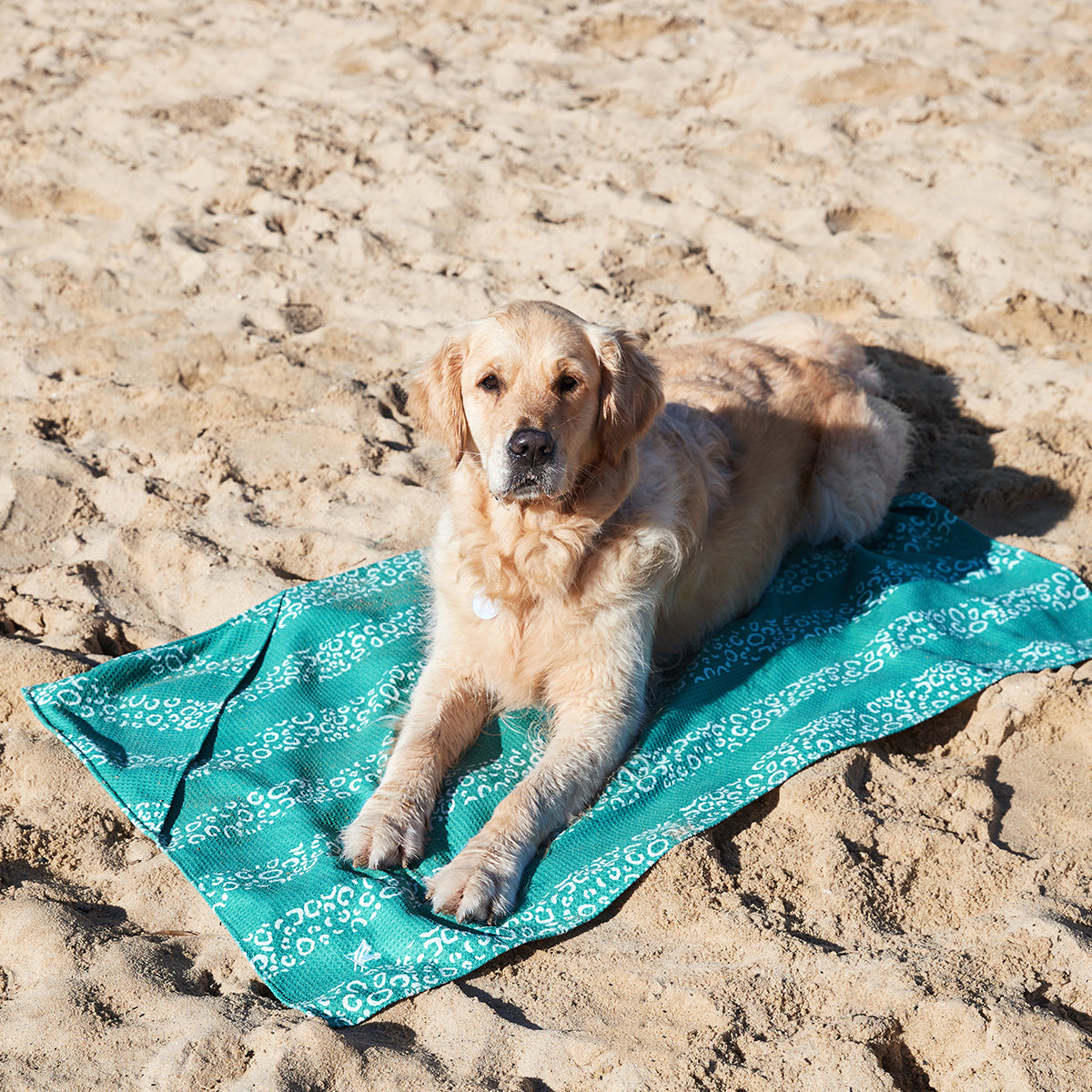 Dock & Bay Dog Towel L Woofs Go Wild 100% Recycled 100% Recycled