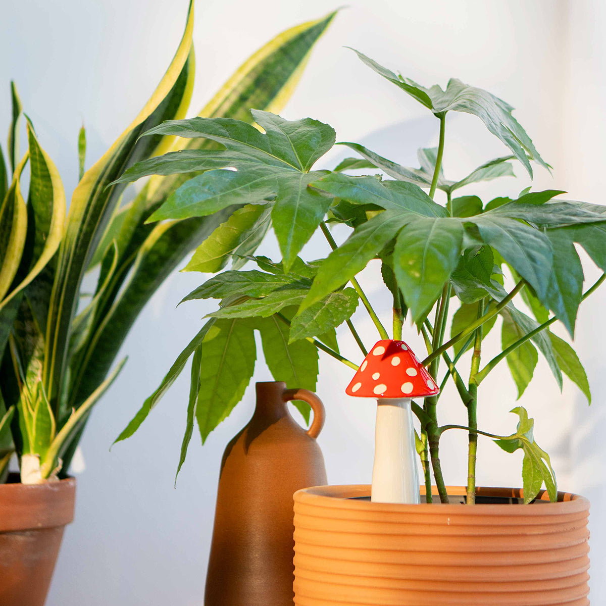 DOIY Amanita Watering System