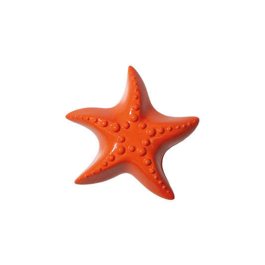 DOIY Ocean Dreams Bottle Opener Starfish