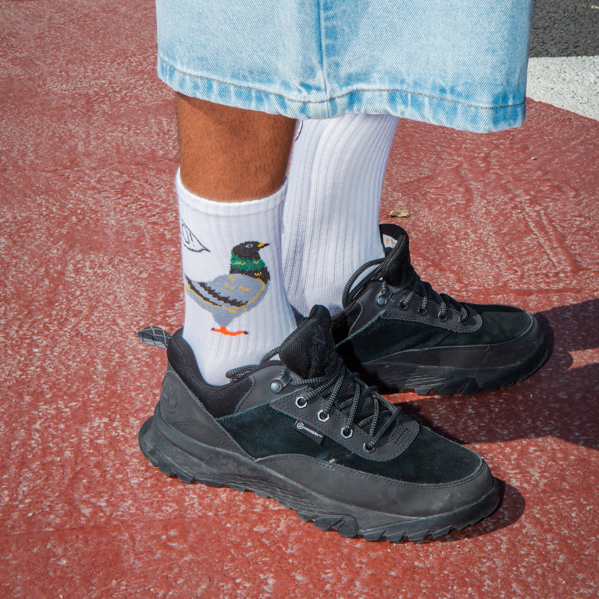 Eat My Socks Crew Socks Pigeon