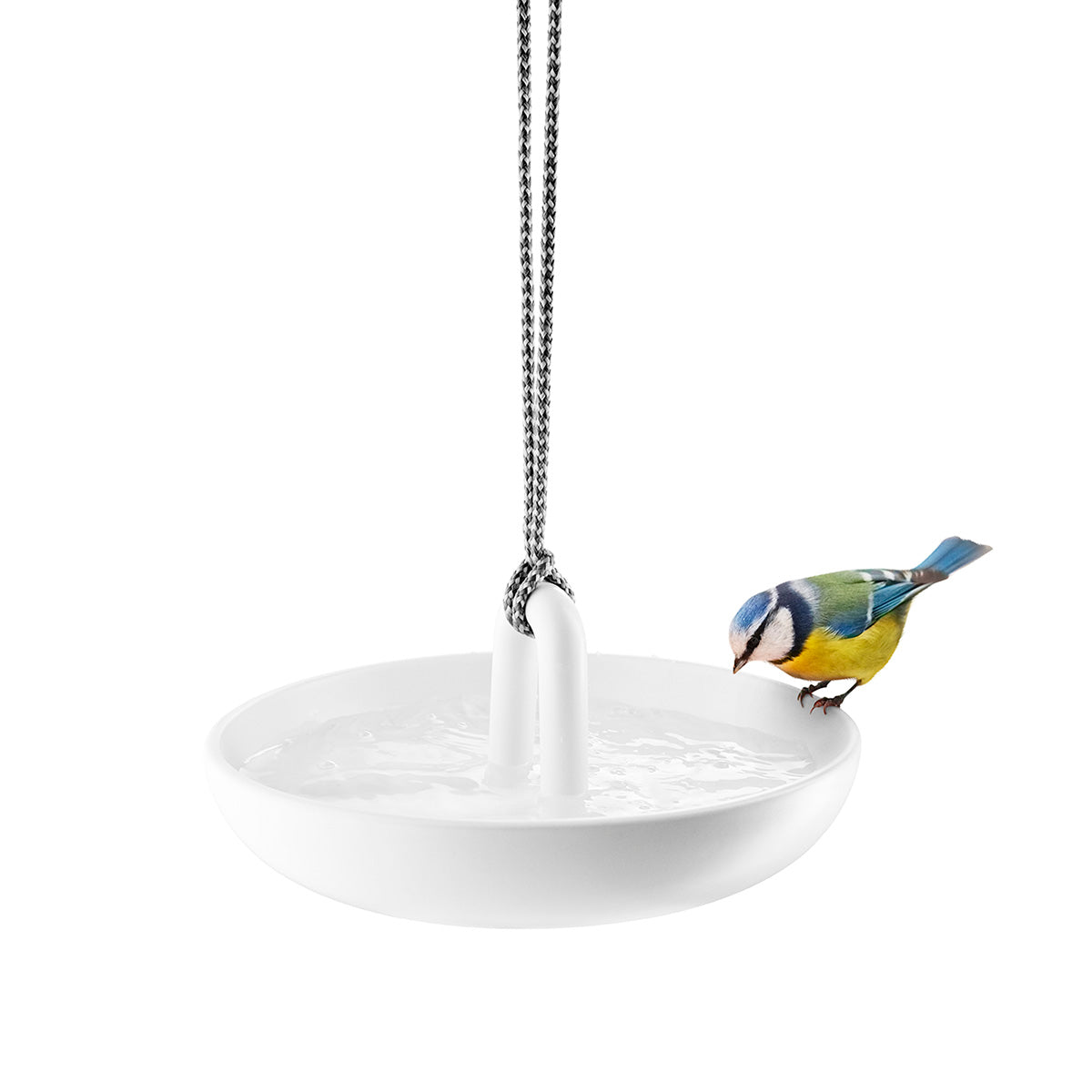 Hanging Bird Bath