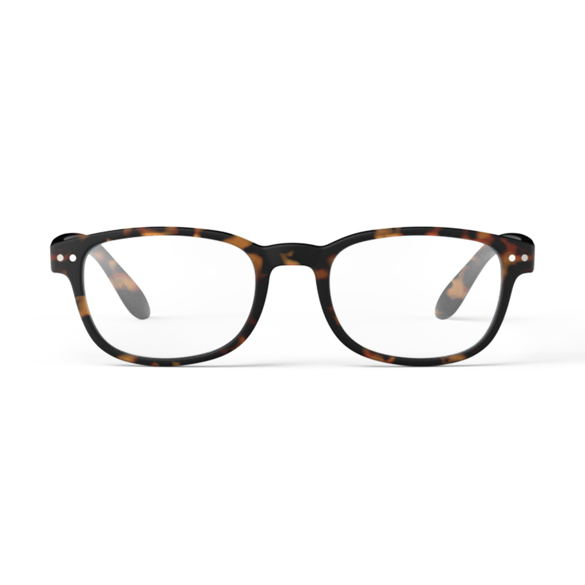 IZIPIZI Reading Collection B Tortoise