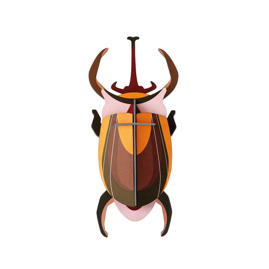 Wall Art Beetles (B7) Elephant Beetle