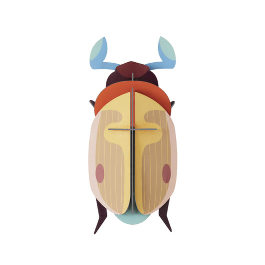 Studio Roof Wall Art Beetles (B7) Lemon Fruit Beetle