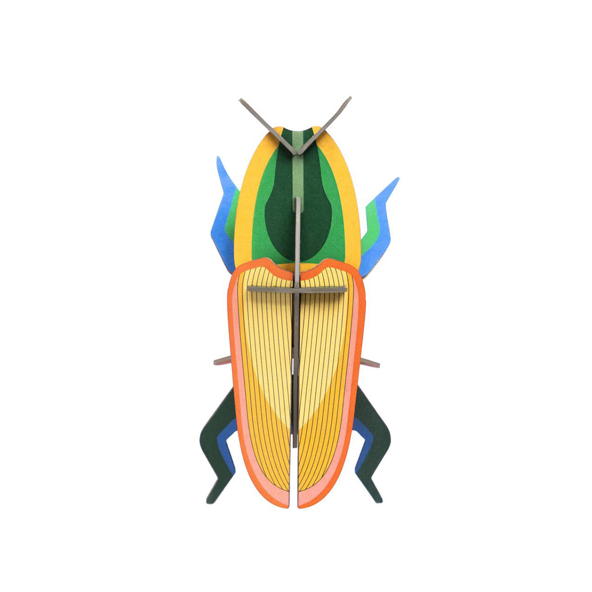 Studio Roof Wall Art Beetles (B7) Madagascar Beetle