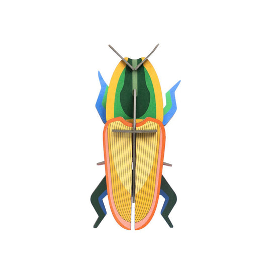 Wall Art Beetles (B7) Madagascar Beetle