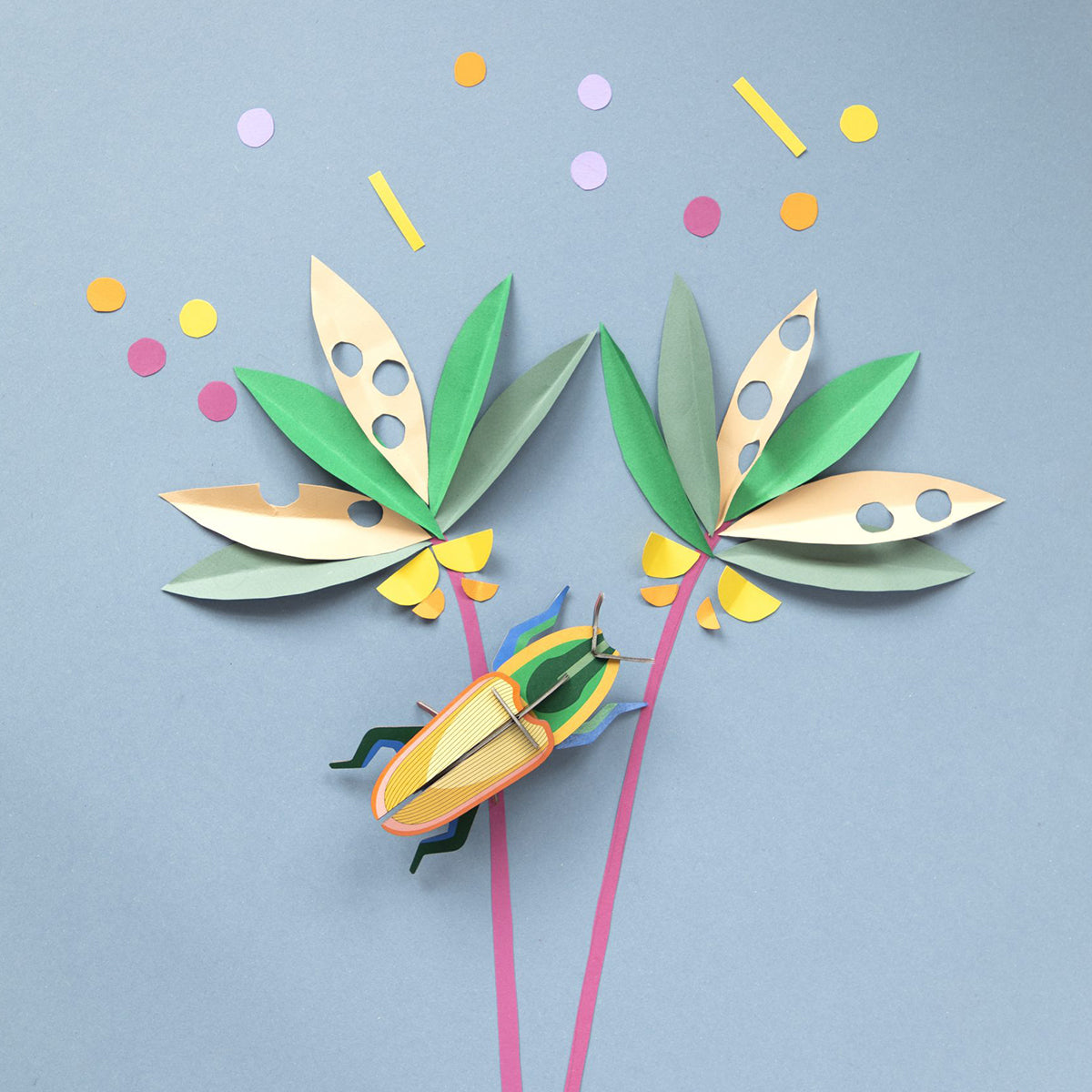 Studio Roof Wall Art Beetles (B7) Madagascar Beetle