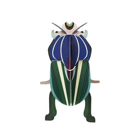 Studio Roof Wall Art Beetles (B7) Mimela Scarab Beetle
