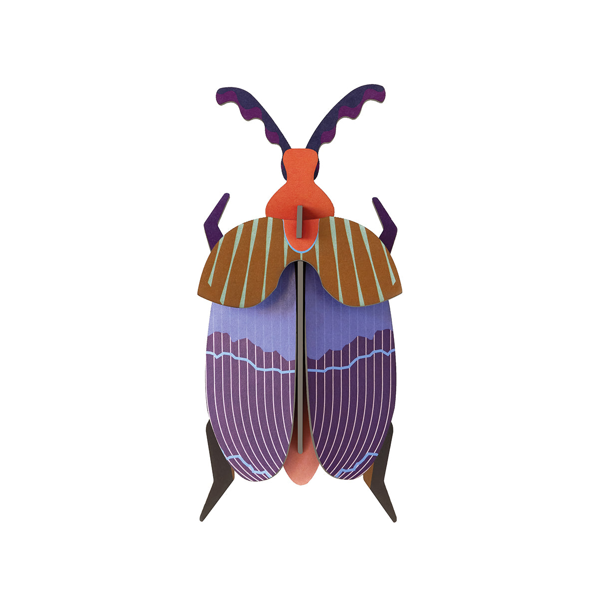 Studio Roof Wall Art Beetles (B7) Queen Beetle