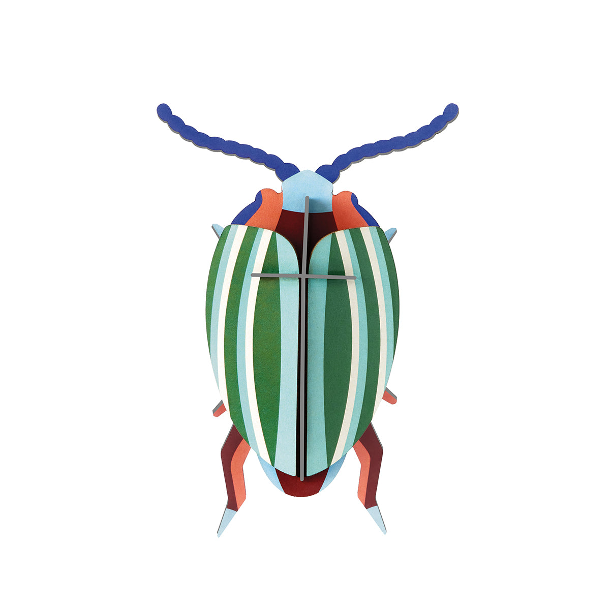 Wall Art Beetles (B7) Rainbow Leaf Beetle