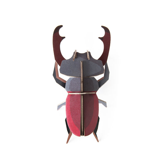 Wall Art Beetles (B7) Stag Beetle