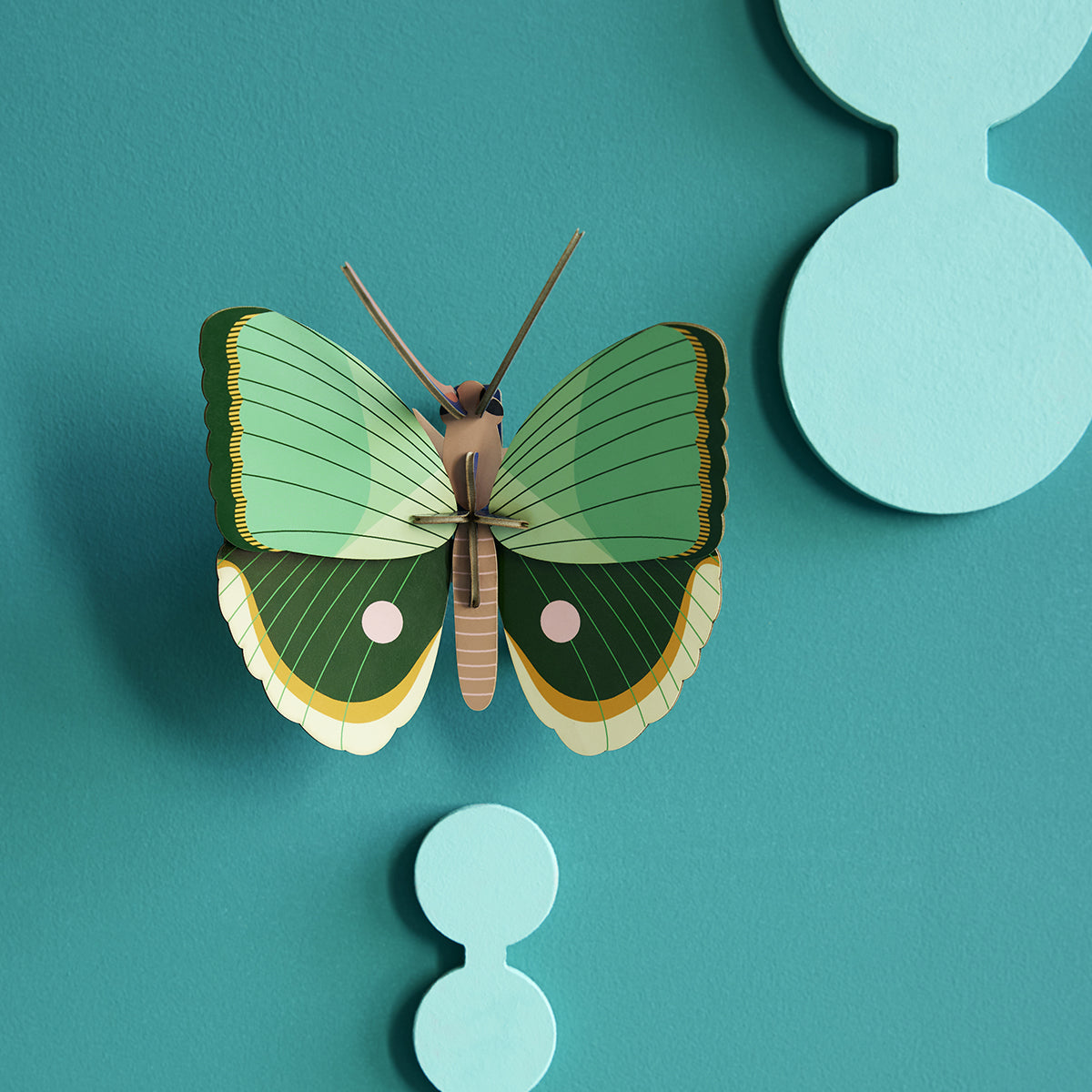 Studio Roof Wall Art Butterflies (B7) Fern Striped Butterfly